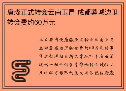 唐淼正式转会云南玉昆 成都蓉城边卫转会费约60万元