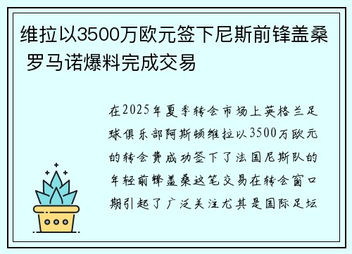 维拉以3500万欧元签下尼斯前锋盖桑 罗马诺爆料完成交易